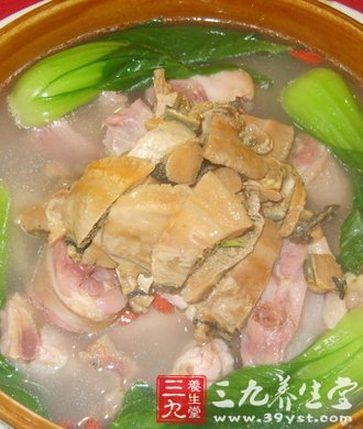 延年益壽 3款冬季鴿肉養生食譜