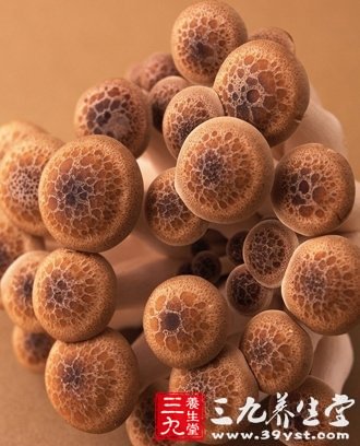11健康蘑菇食譜 教你正確吃菇保健康