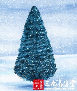 12款美味聖誕大餐 陪你溫暖過節