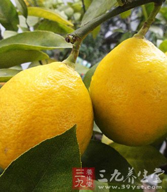檸檬減肥美白食譜 讓您做回完美女人