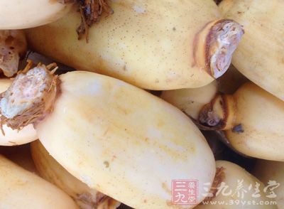 新鮮的蓮藕不僅富含碳水化合物、蛋白質和維生素等物質