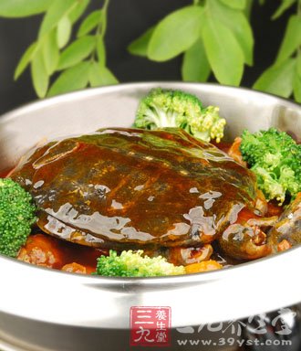 冬季補腎滋陰首選10款甲魚滋補食譜