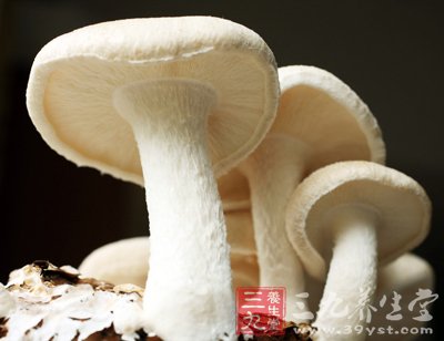 秋食野菌冬喝湯 薦9種超鮮美菌類食譜 