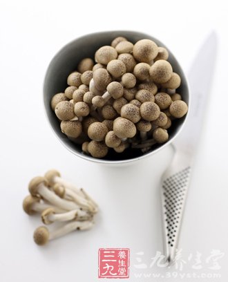 秋食野菌冬喝湯 薦9種超鮮美菌類食譜 