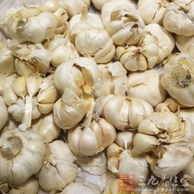 大蒜中含硒較多 大蒜中含硒較多