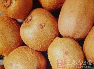 奇異果的維他命C含量豐富很多是眾所皆知的