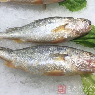 葷菜以魚蝦、雞鴨為先