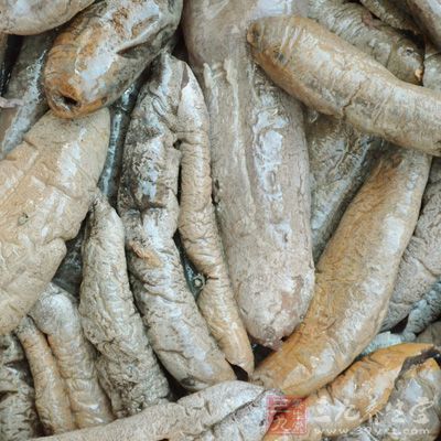 海參50克，粳米100克