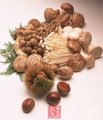 美味蘑菇食譜 高纖低脂好瘦身