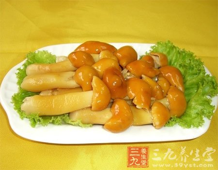 美味蘑菇食譜 高纖低脂好瘦身