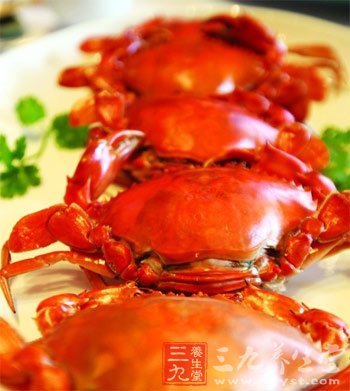 十月菊香蟹肥 品味華麗“蟹”逅