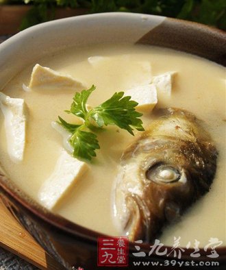 6款新鮮魚湯 秋季飲食的營養法寶