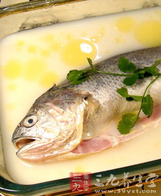 6款新鮮魚湯 秋季飲食的營養法寶