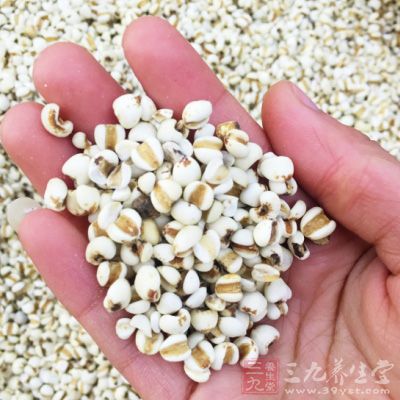 除了大家熟知能補血的紅豆，薏仁好處多多