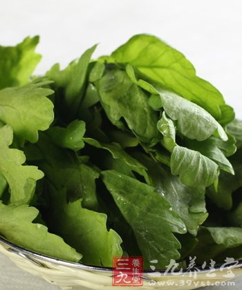 幾道減肥涼拌茼蒿小菜