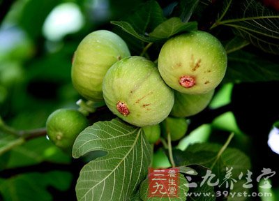 能讓女人臉色更美的八款湯