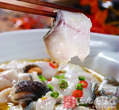 美味小廚房教你吃魚養生妙計