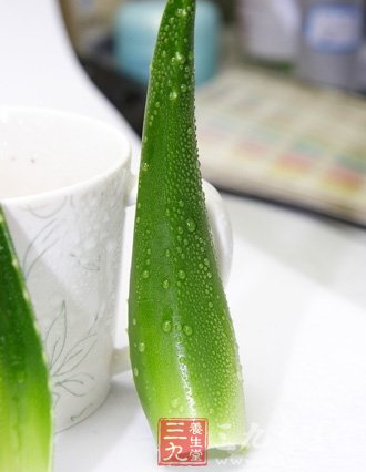 百變蘆荟食譜 輕松減去小肥肚