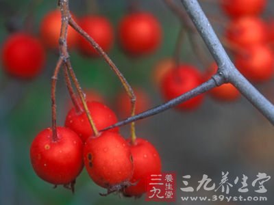 枸杞消除身體水腫