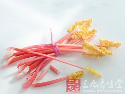 大黃促進腸胃消化