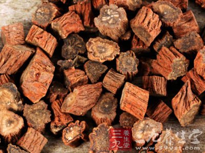 黨參暖胃塑身食譜