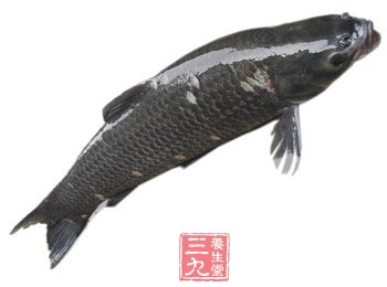 美味小廚房的吃魚妙計