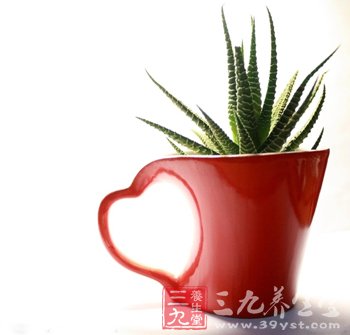 美容養顏食譜