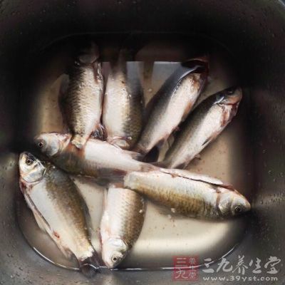 鮮鲫魚500克，通草6克，精鹽些許