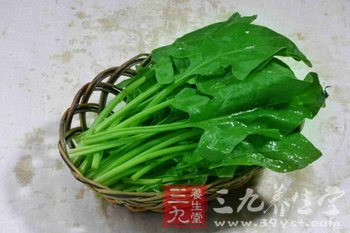 5款菠菜食譜補血養顏
