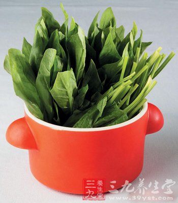 5款菠菜食譜補血養顏