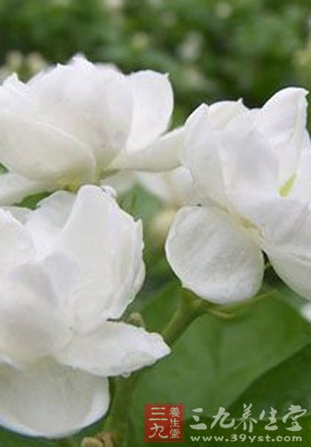 養生保健花粥讓你喝出花容月貌