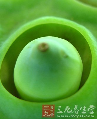 夏季吃蓮子養心安眠 5款食譜推薦給你