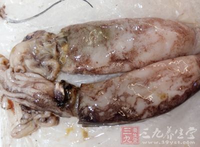 鱿魚20g、蝦子5只