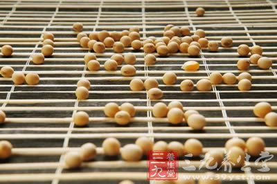 蛋白質塑美峰 5款黃豆豐胸食譜