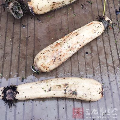 鮮藕節、鮮白蘿卜、鮮旱蓮草各500克