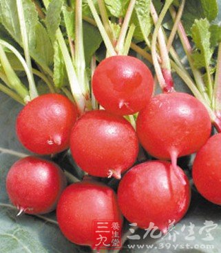 櫻桃蘿卜瘦身食譜MM最愛