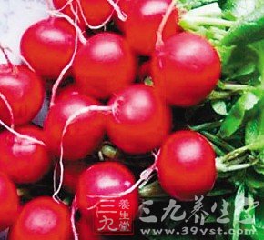 櫻桃蘿卜瘦身食譜MM最愛