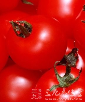 番茄瘦身食譜 夏天讓你瘦著過