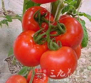 番茄瘦身食譜 夏天讓你瘦著過