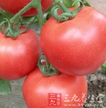 番茄瘦身食譜 夏天讓你瘦著過