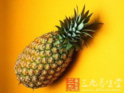 什麼是酵素