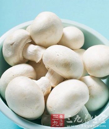 美味絲瓜食譜 調經養顏消便秘