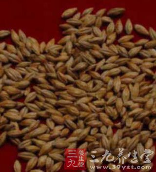 盤點外國男人的壯陽食譜