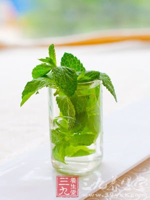 瘦身薄荷優點全揭發