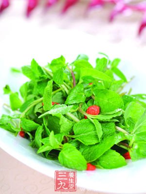 薄荷快速減肥食譜 10天減7斤