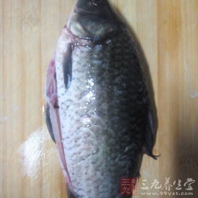 鲫魚1條、豆腐1盒
