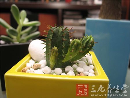 8款瘦身食譜 夏日大膽秀身材