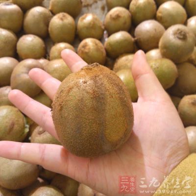 色拉全麥土司、小麥胚芽奶、奇異果