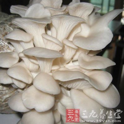 豌豆尖蘑菇豆腐湯 幫助女性抗衰老