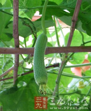 長夏如何養生防病
